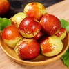 「5斤精选装！产地直发」山东沾化冬枣  整箱现货枣子新鲜冬枣零食水果 商品缩略图1