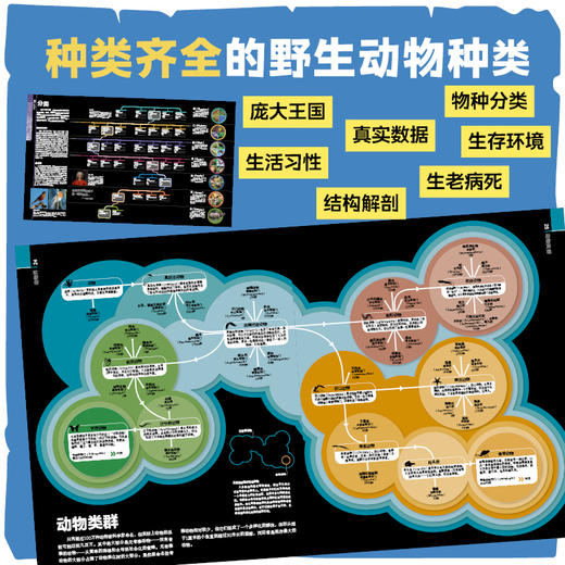 DK动物大百科 商品图3