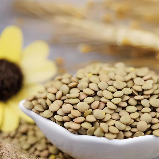 【静宁馆】静宁扁豆500g*2包邮 商品图7