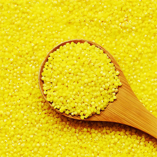 【静宁馆】静宁米脂小米农家小米  2.5kg/袋 商品图4