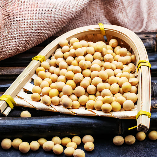 【静宁馆】静宁黄豆   500g*2袋 商品图8