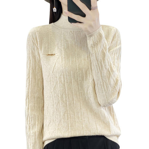 DD-秋冬小众时尚感装半高领安外穿长袖软糯毛衣 商品图4