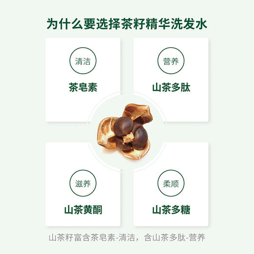 花果树 茶树油平衡调理洗发水730g 清爽控油去屑止痒男女士温和清洁 商品图3