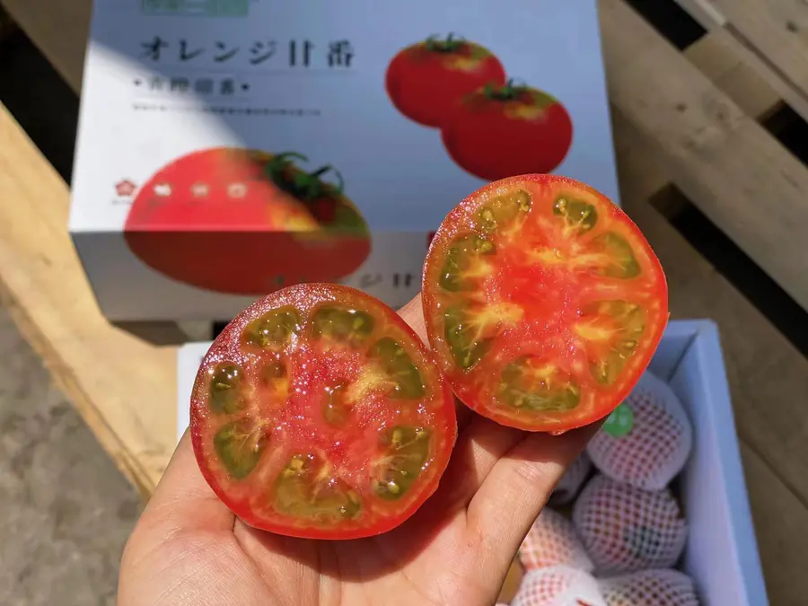 李家一亩园青橙甜番 高糖番茄