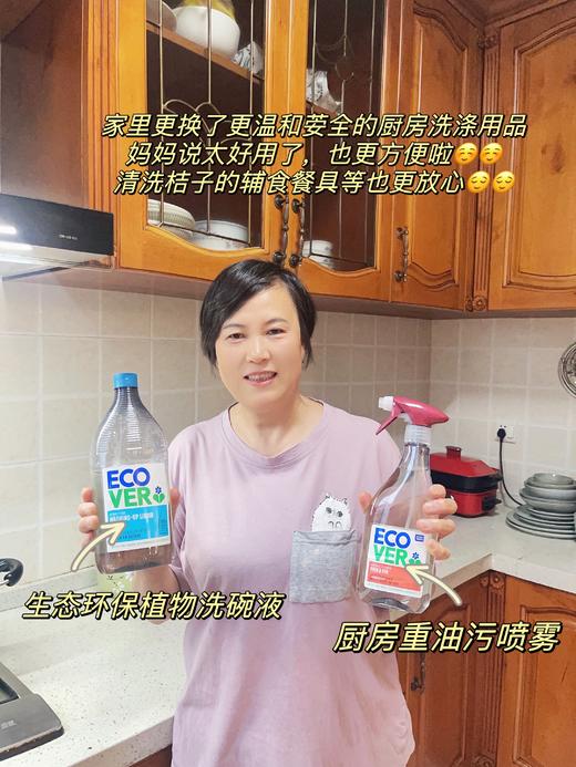 来自比利时环保型洗涤系列Ecover——【洋甘菊食品JI洗洁精】【厨房重油污喷雾】植物型配方温和不伤手不刺激，无色素无荧光增白剂等，环保生态瓶身可生物降解 商品图1