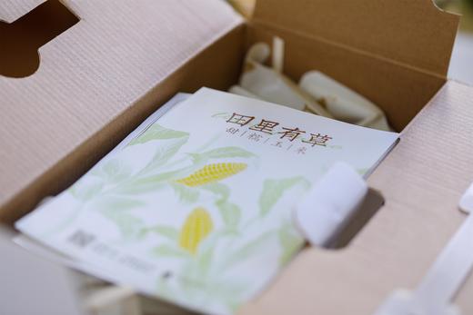 田里有草甜糯玉米 12枚礼盒装 商品图1