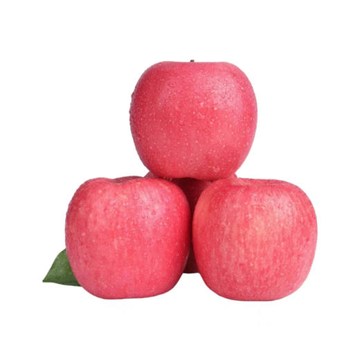 【静宁馆】静宁当季红富士苹果12颗（80mm-85mm）包邮 商品图2