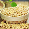 【静宁馆】静宁黄豆   500g*2袋 商品缩略图5