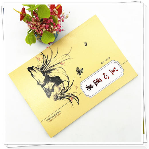 兰心医案 樊兰英 主编 中国中医药出版社 中医临床 书籍 商品图1