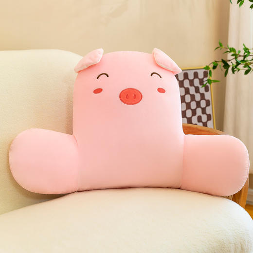 Z2396 卡通办公室护腰靠枕（60cm*45cm） 商品图2