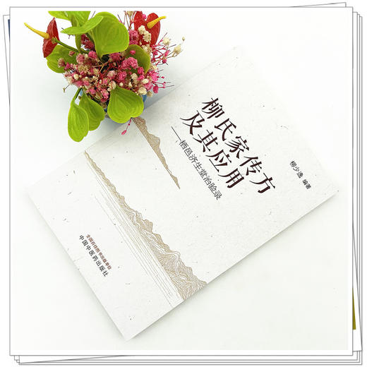 柳氏家传方及其应用：栖邑济生堂治验录 柳少逸 编著 中国中医药出版社 商品图1