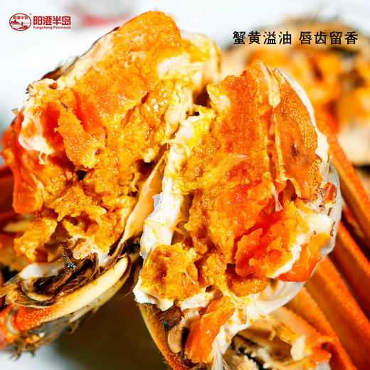阳澄湖大闸蟹【阳澄半岛】【龙菲精选】 商品图10