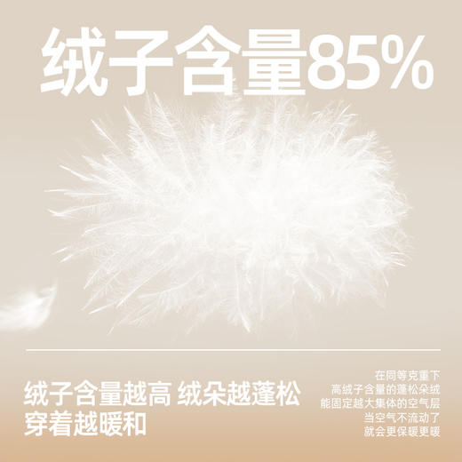 【升级版熊猫双拼色！ 不怕脏的羽绒服】儿童90白鸭绒拼色暖绒羽绒服PDWT2308 商品图4