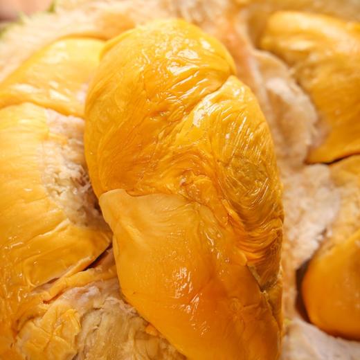 马来西亚·黑刺榴莲 商品图1