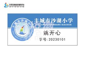 丰城市沙湖小学学生胸牌定购F
