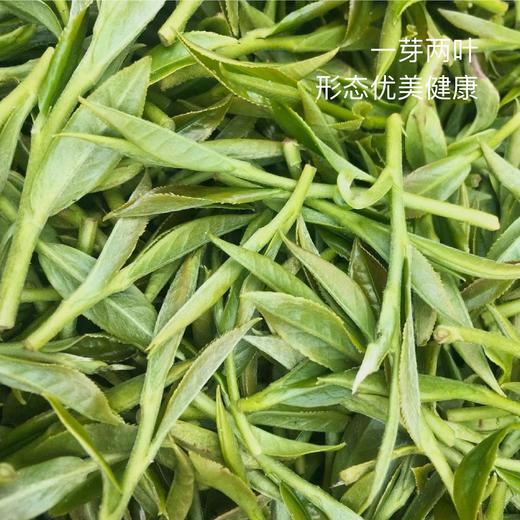 拥野·白牡丹 5gx12袋/盒 商品图3