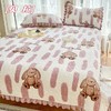 【可水洗可机洗 给予你四季贴心陪伴】秋冬夹棉牛奶绒床盖三件套卡通加厚水晶绒床盖绗缝盖毯 商品缩略图12
