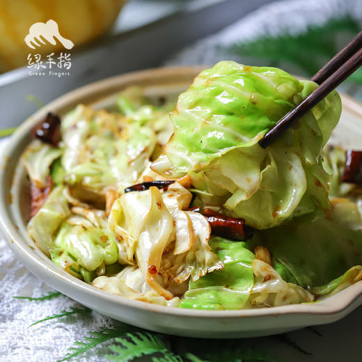 生态圆白菜（包菜） | 合作生产*Ecological Cabbage | Coproducted 商品图5