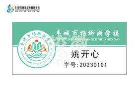 丰城市杨柳湖学校学生胸牌定购F