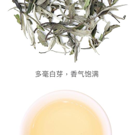 拥野·白牡丹 三角袋泡茶 3gx12袋/盒 商品图1