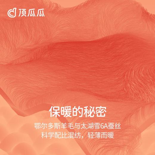 3部顶瓜瓜轻裘羊毛蚕丝男式保暖内衣套装AO11117 商品图4