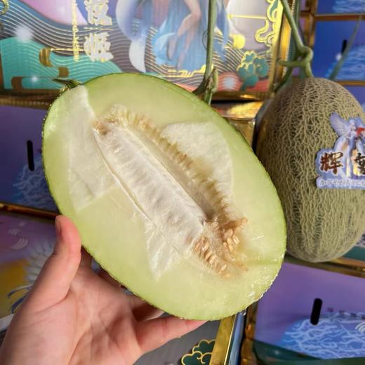 绣球蜜瓜 商品图0