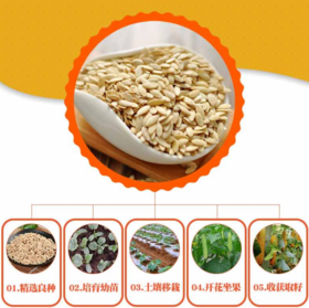 谁也不能小瞧了这款菜籽！私家收藏的壮骨秘方，腿脚利索，骨骼强壮~