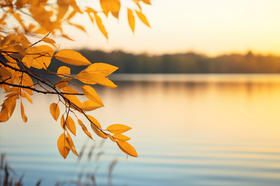 秋分时节谈养生，老中医教你几招