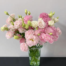 【佳海花业】洋桔梗  阳光粉  四合一（700-800g） 颜色深浅略有差异 以实物为准 云南基地发货（价格已包含包装费用） 运费以实际为准，多退少补。