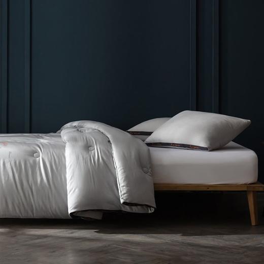 【专柜-多样屋】魔温自热小黑被-3M灰/220*240cm 商品图0