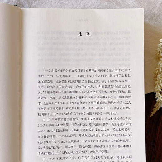 庄子本原 黄瑞云 评注 商务印书馆 商品图5