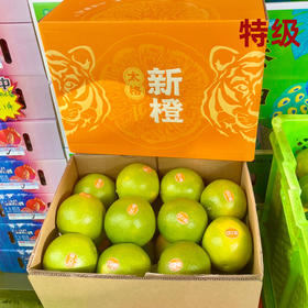 太格新橙冰糖橙5kg（特级）