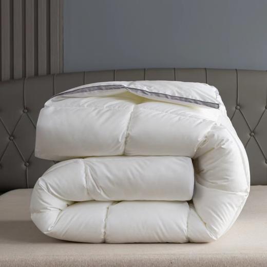 R90空气绒朵冬被200*230cm【伊藤优选302228】 商品图2