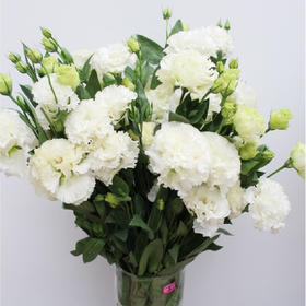 【佳海花业】洋桔梗  波浪白色  四合一（700-800g） 颜色深浅略有差异 以实物为准 云南基地发货（价格已包含包装费用） 运费以实际为准，多退少补。