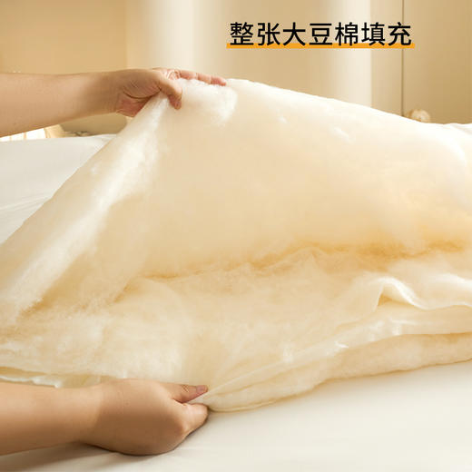 李官奇大豆纤维糯糯被｜暖感轻盈 、超舒适 商品图1