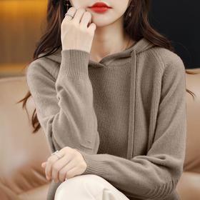 新款2023秋季风气质套头厚长袖连帽常规毛衣女式针织衫
