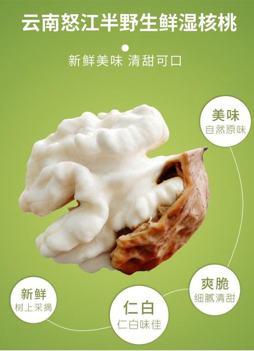 2025年半野生老树怒江干核桃 5斤装 商品图4
