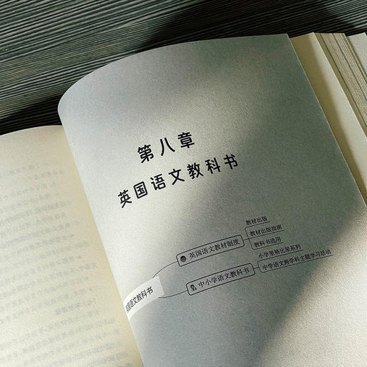 英美语文课程与教学概论 董蓓菲著 商品图12