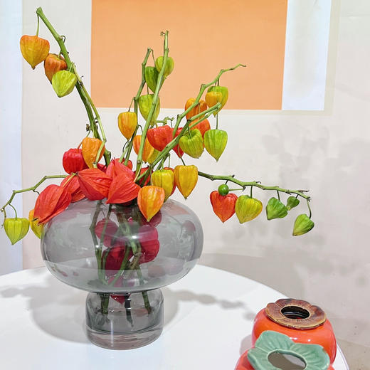 【AB级酸浆果切花】5支/份 长度约50-55cm 商品图13