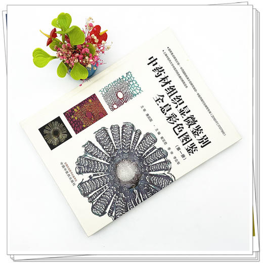 中药材组织显微鉴别全息彩色图鉴（第一册）崔亚君 季申 李会军 主编 中国中医药出版社 书籍 商品图1