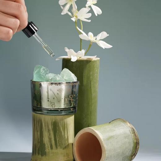 大英博物馆 盖亚·安德森猫系列 24节气夏至晶石香薰车载香包套装 商品图1