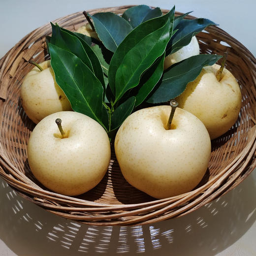 丨有机丨小空山黄金梨 商品图0