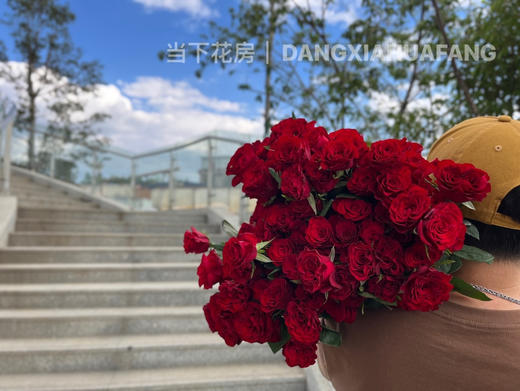 【AB级高原红玫瑰.第二份减10元】10支/份 长约60-65cm 商品图7