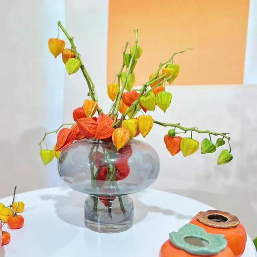 【AB级酸浆果切花】5支/份 长度约50-55cm 商品图1