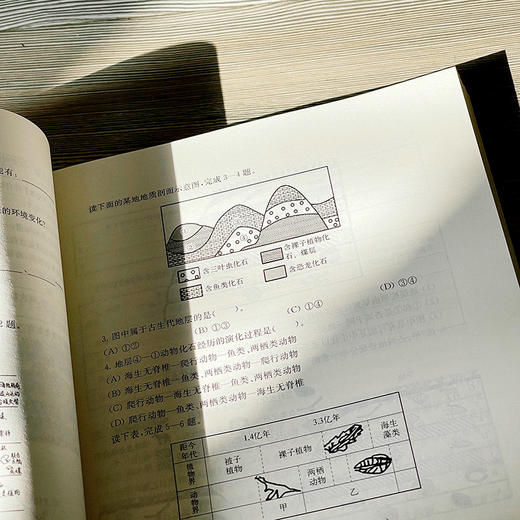 核心素养 成长的力量 厦门市第八期中学专家型教师培养对象研修班成果 陈珍 朱立祥 商品图10