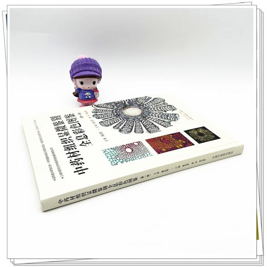 中药材组织显微鉴别全息彩色图鉴（第一册）崔亚君 季申 李会军 主编 中国中医药出版社 书籍 商品图2