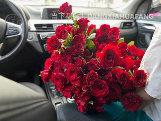 【AB级高原红玫瑰.第二份减10元】10支/份 长约60-65cm 商品图5