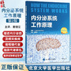 内分泌系统工作原理 第2版 康继宏 主译 内分泌学 葡萄糖代谢 脂质代谢紊乱 临床试验 循证医学等 北京大学医学出版9787565929045 商品缩略图0