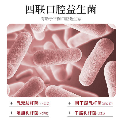 牙匠师益生菌耀白清新牙膏 呵护牙龈  耀白牙齿  清新留香 商品图2