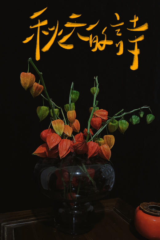 【AB级酸浆果切花】5支/份 长度约50-55cm 商品图7